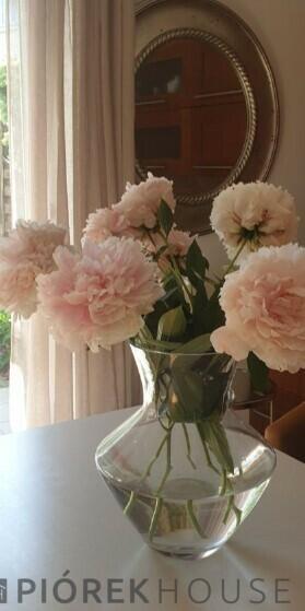 Kawalerka na Ursynowie