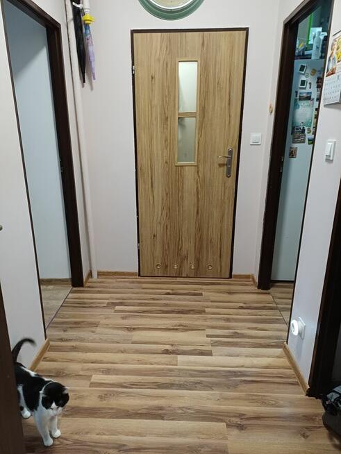 Zamienie mieszkanie z ZGM