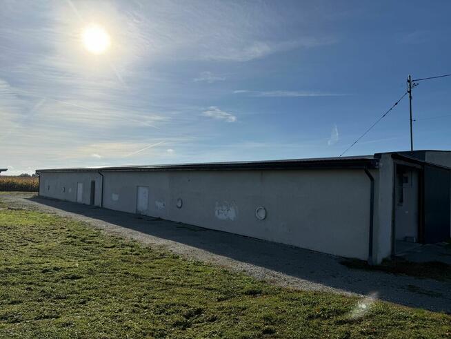 Magazyn 1000 m² do wynajęcia | Duża działka | Pielgrzymowice