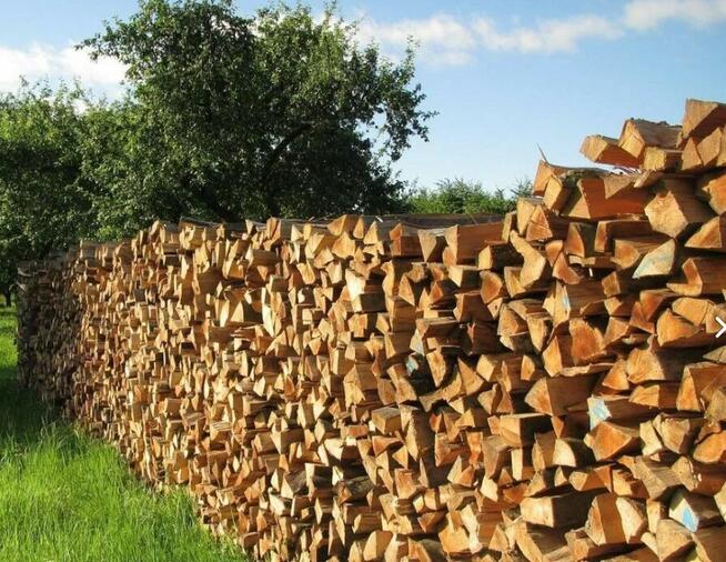 Drewno kominkowe opałowe Stawiguda