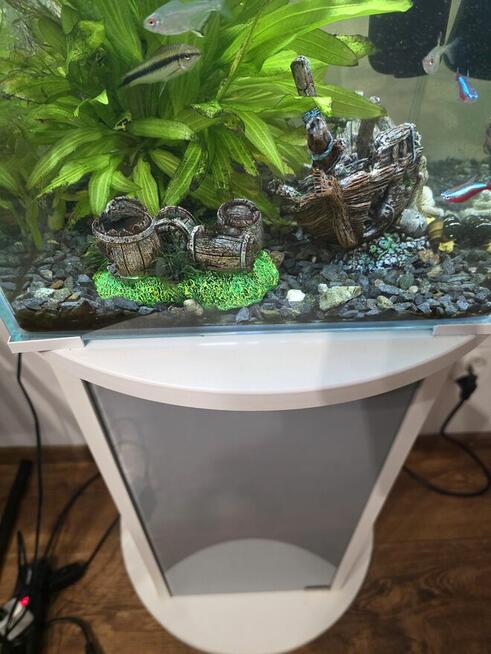 Oddam za symbolicznego Jamesona