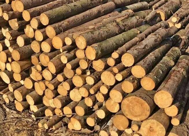 Drewno kominkowe opałowe Stawiguda