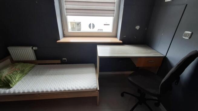 Wynajmę mieszkanie dwupokojowe Jabłonna