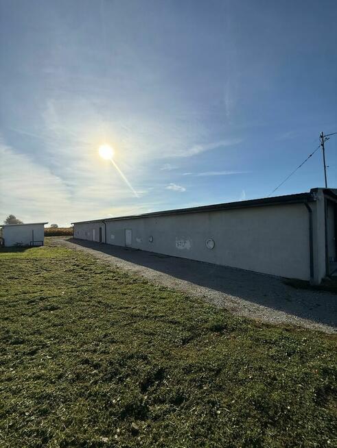 Magazyn 1000 m² do wynajęcia | Duża działka | Pielgrzymowice