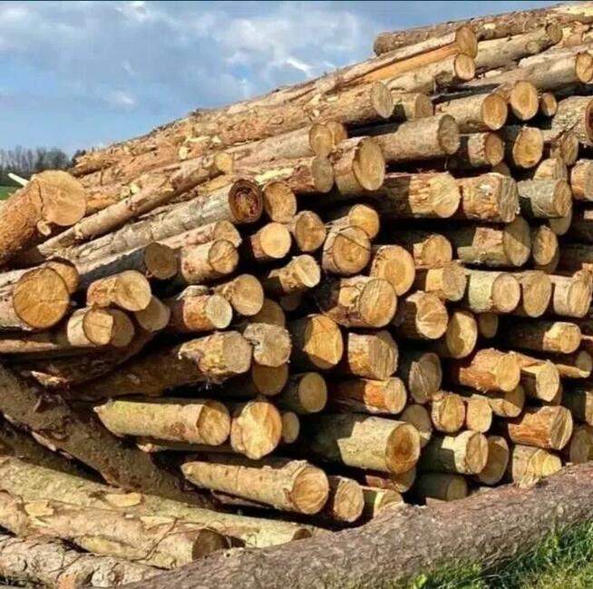 Drewno opałowe/kominkowe w rozsądnej cenie Świętajno