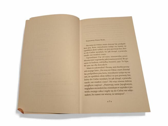 Eric-Emmanuel Schmitt: Oskar i Pani Róża wyd. Znak Kraków