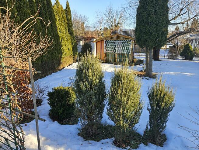 Szprzedam działkę rekreacyjną ROD