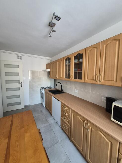 Mieszkanue na wynajem