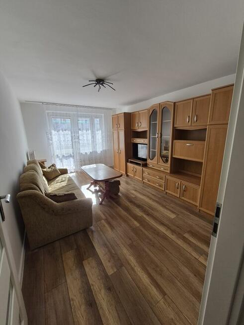 Mieszkanue na wynajem