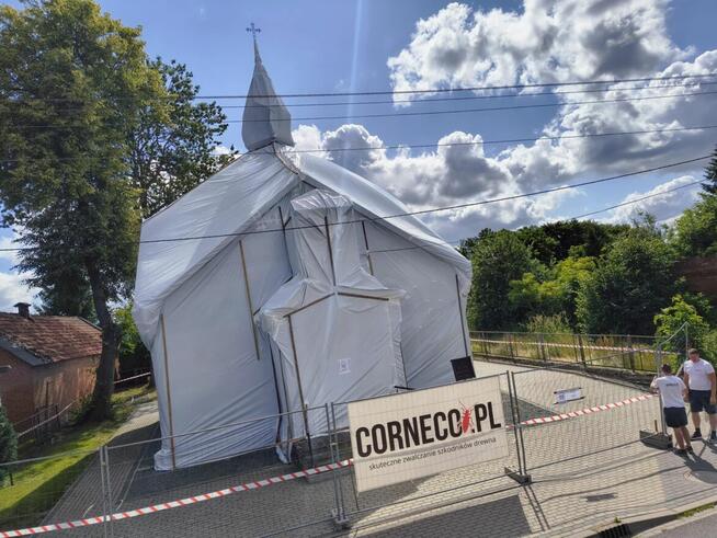 Fumigacja - Gazowanie - Zwalczanie Korników