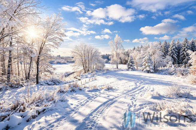 Działka budowlana Owczarnia gm. Brwinów, Malinowa