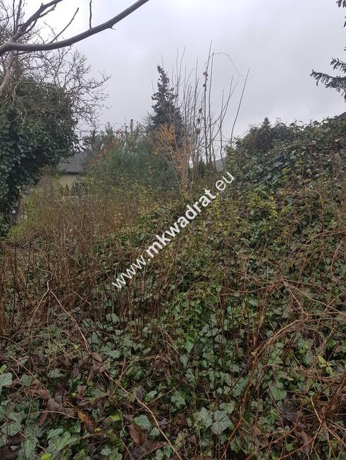 Działka dom 2 -lokalowy ul Orzeszkowej