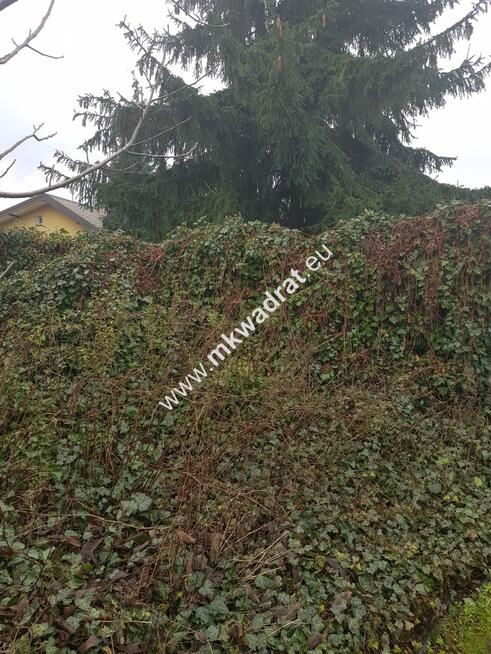 Działka dom 2 -lokalowy ul Orzeszkowej