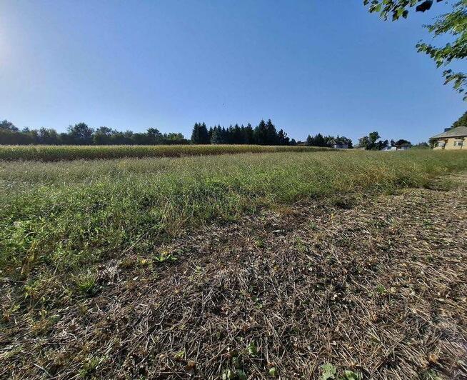 Działka budowlana Głębowice gm. Osiek, Oświęcimska