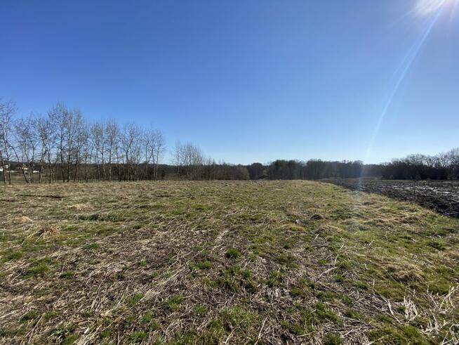 Działka budowlana Głębowice gm. Osiek, Oświęcimska