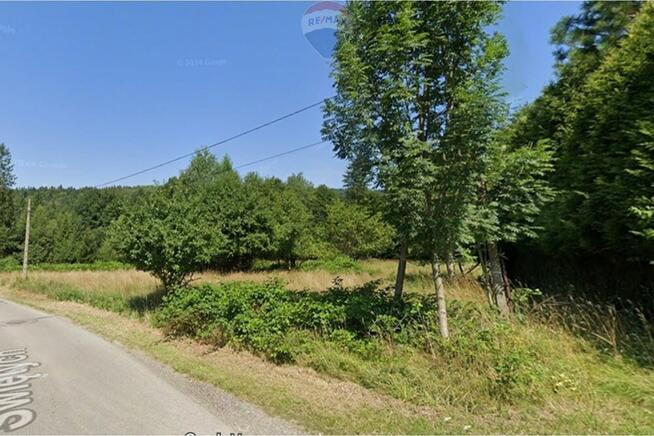 Działka 8a otulona zielenią – Jeleśnia czeka!