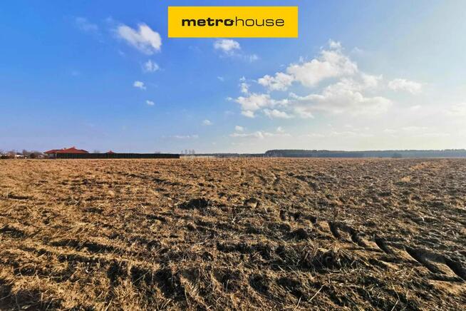 Bliskość natury i wygody miasta działka w Ligotce