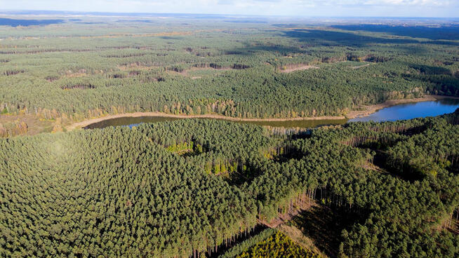 84zł/m2. Janczewo działka budowlana, las, jezioro