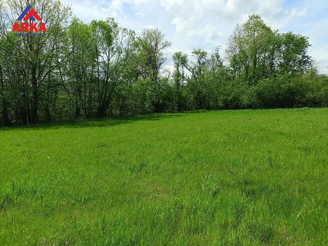 Działka usługowa Zegartowice gm. Raciechowice