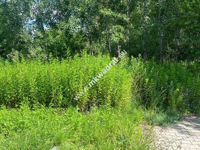 ⭐⭐⭐⭐⭐Działka budowlana 6577 m2 Radonie z MPZP⭐⭐⭐⭐⭐