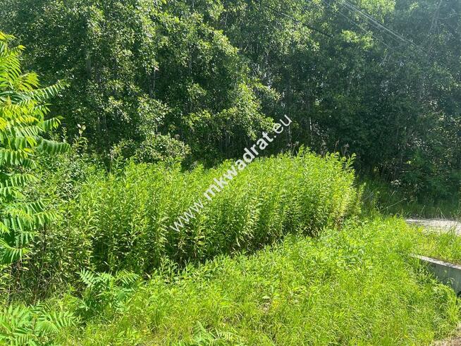 ⭐⭐⭐⭐⭐Działka budowlana 6577 m2 Radonie z MPZP⭐⭐⭐⭐⭐