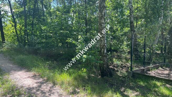 ⭐⭐⭐⭐⭐Działka budowlana 6577 m2 Radonie z MPZP⭐⭐⭐⭐⭐