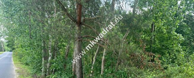 Ładna zalesiona działka z MPZP Ojrzanów