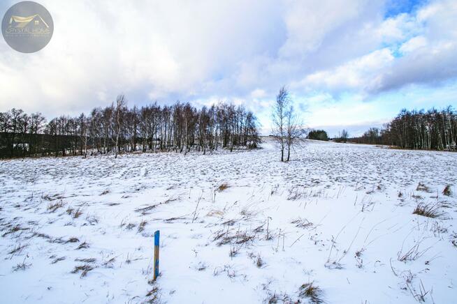 Działka rekreacyjna Michałkowa gm. Walim