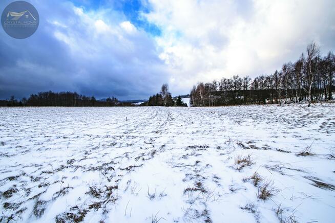 Działka rekreacyjna Michałkowa gm. Walim