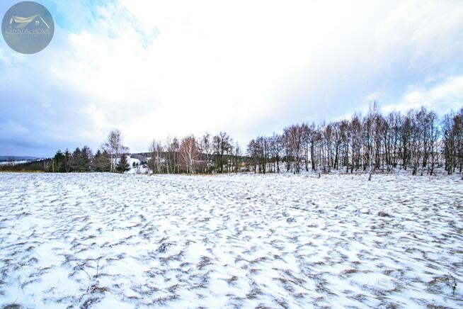 Działka rekreacyjna Michałkowa gm. Walim