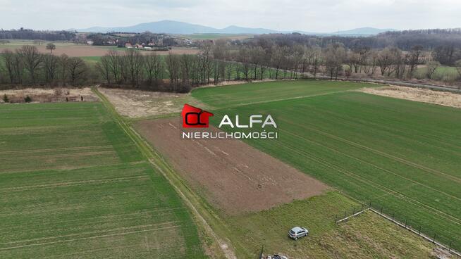 Działka budowlana Wierzbna gm. Żarów