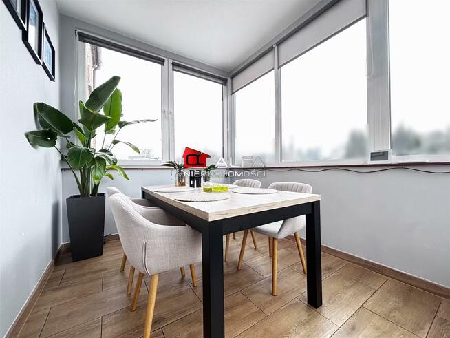 Mieszkanie Świdnica, Świdnica