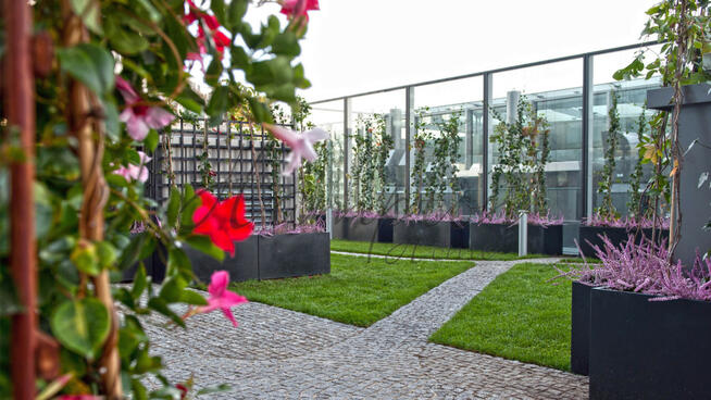 Mieszkanie Warszawa gm. Śródmieście Śródmieście,, Twarda