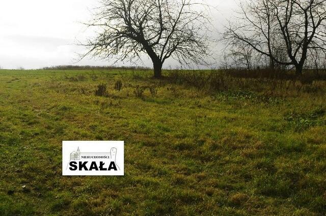 Działka budowlana Krasieniec Zakupny gm. Iwanowice