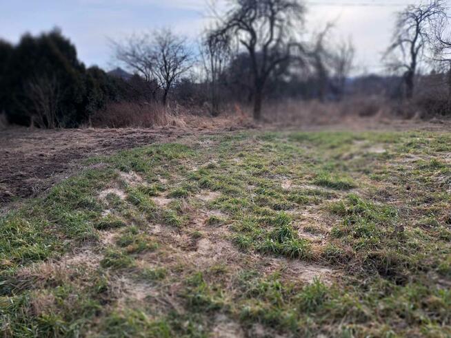 Działka budowlana Cianowice gm. Skała