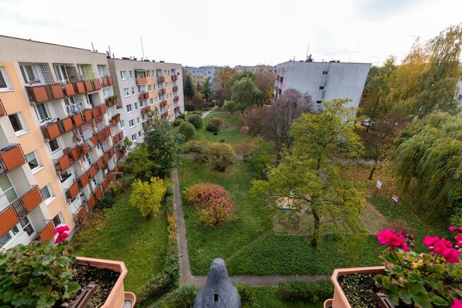 Mieszkanie Częstochowa Północ, Czecha