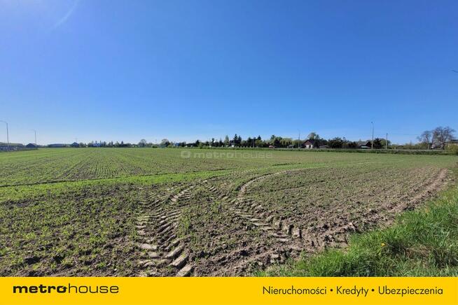 Możliwy zakup mniejszej działki