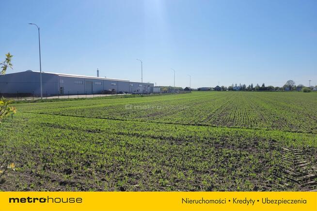 Możliwy zakup mniejszej działki