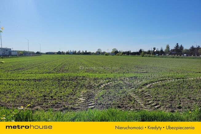 Możliwy zakup mniejszej działki