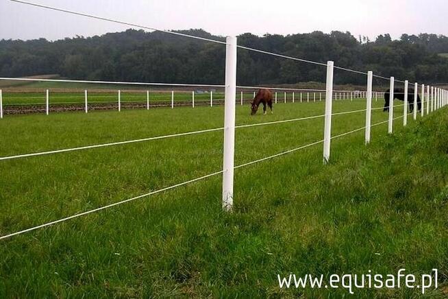 Equisafe Polska - ogrodzenia elektryczne dla koni