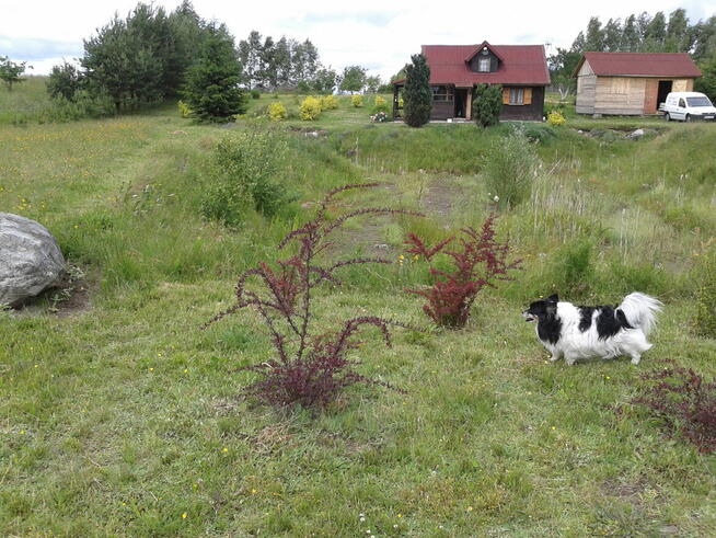 UZBROJONA PIĘKNA DZIAŁKA NIEDALEKO TRÓJMIASTA.