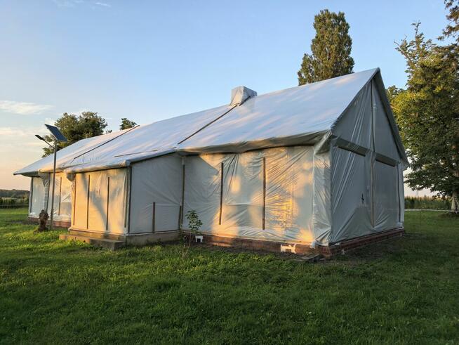 Fumigacja Domu - Zwalczanie Szkodników Drewna - Cała Polska