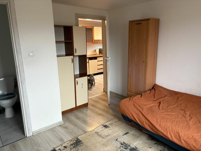 Wynajmę mieszkanie 3 pokojowe ok 50 m2 ul Kierzkowa 88