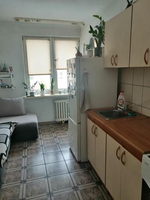 Mieszkanie na wynajem - dostępne od marca