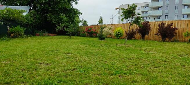 Przeniesienie praw do działki ROD