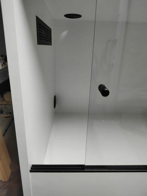 Promocja terrarium dla legwana zielonego, teju