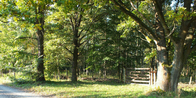 Piękna działka z wydanymi warunkami zabudowy