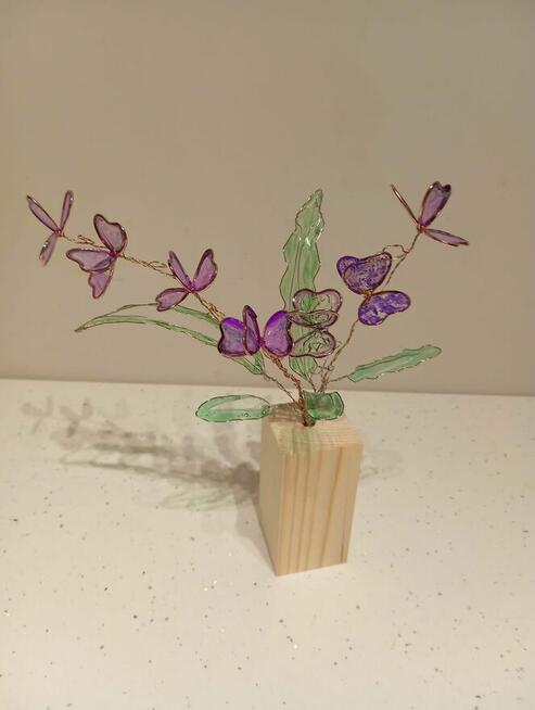 Ładne kwiaty wieczne