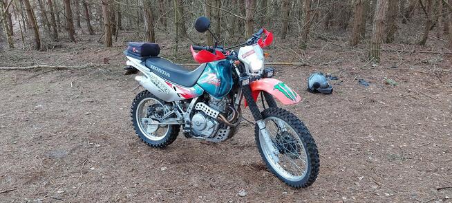 Honda 650 enduro