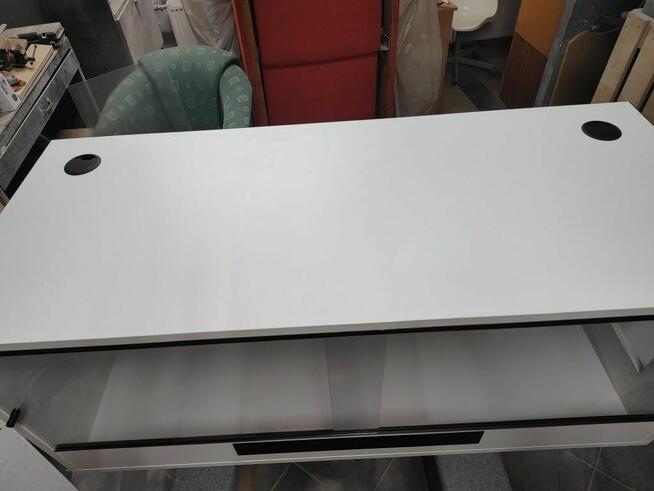 Promocja terrarium dla legwana zielonego, teju